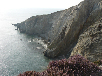 Cliquez ici pour voir l'image (crozon (22).JPG)